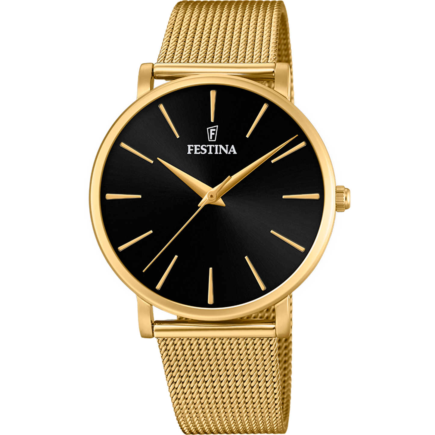 Festina F20476/2