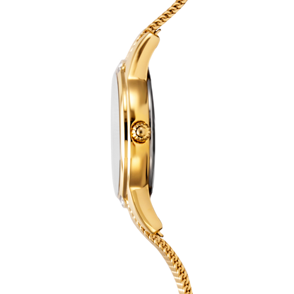 Festina F20495/1