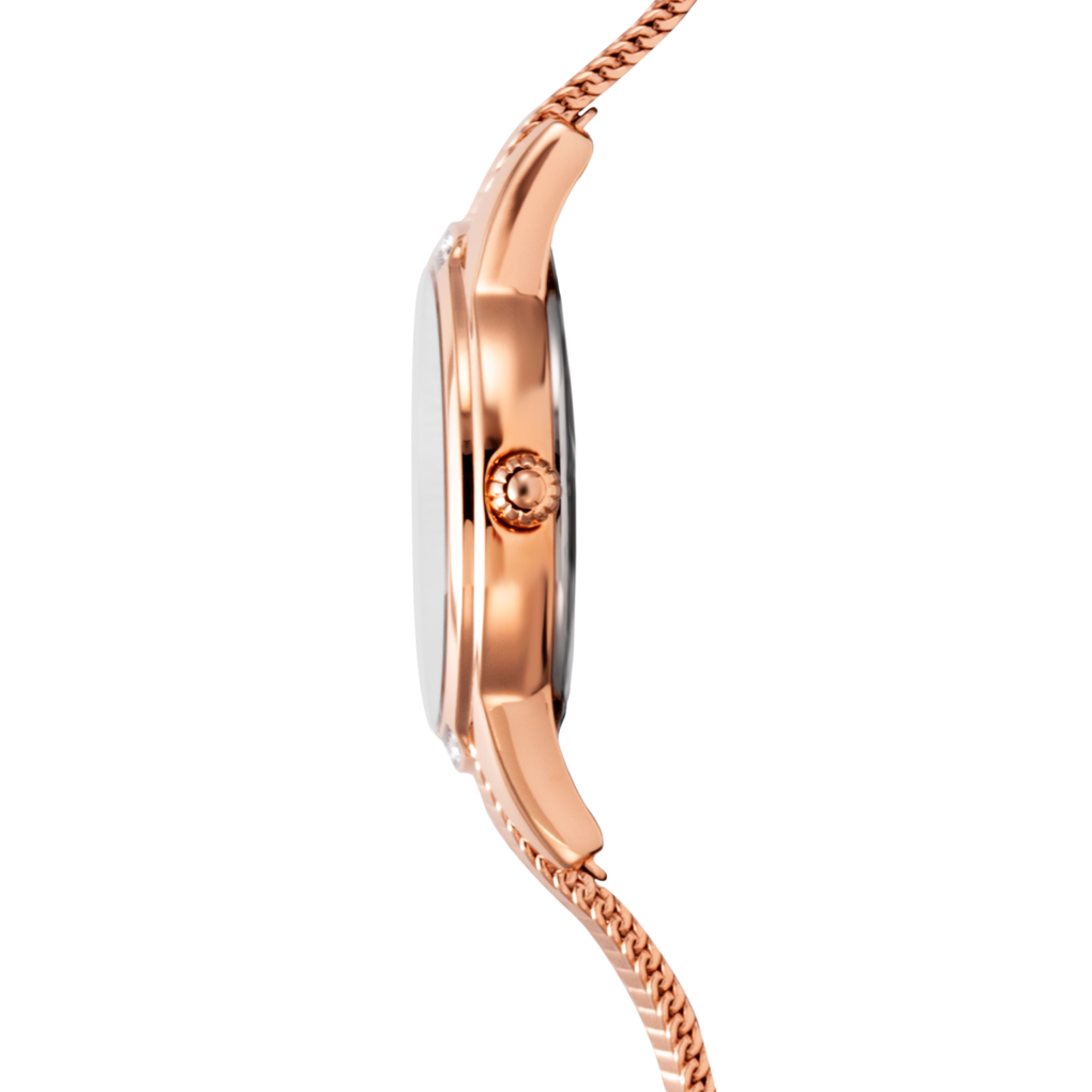 Festina F20496/1