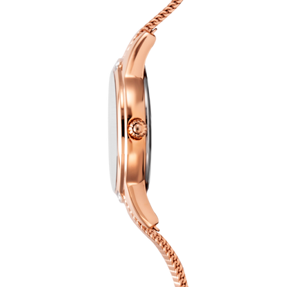 Festina F20496/1