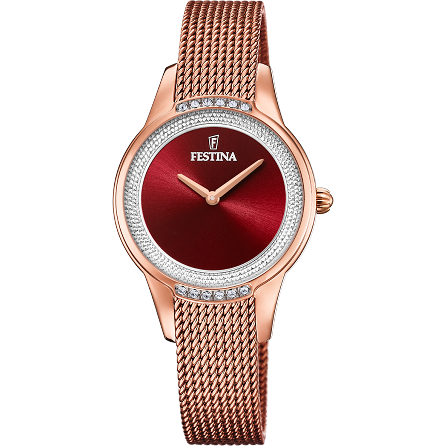 Festina F20496/1